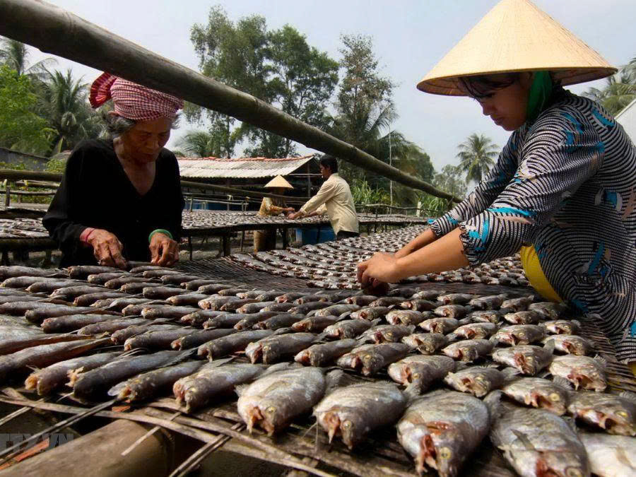 Khám phá đặc sản Kiên Giang - Tinh hoa ẩm thực miền tây